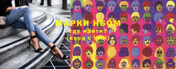 индика Армянск