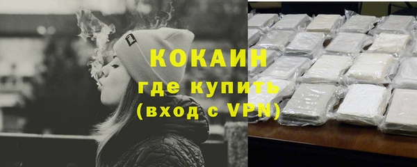индика Армянск