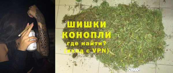 прущий лед Заводоуковск