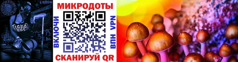 Галлюциногенные грибы Psilocybe  Дегтярск 